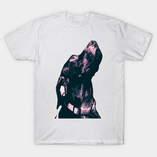 Dog Breed English Pointer Dog Illustration T-Shirt by boholoc0